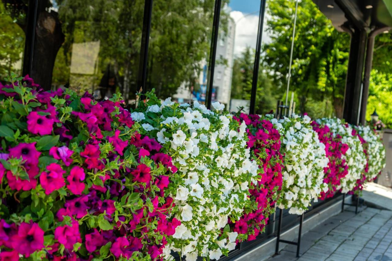 Vila Niko Hotel Ohrid Bagian luar foto